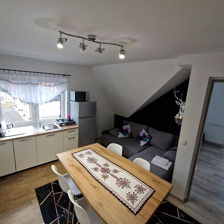Studia I Apartamenty Wierchy ザコパネ エクステリア 写真
