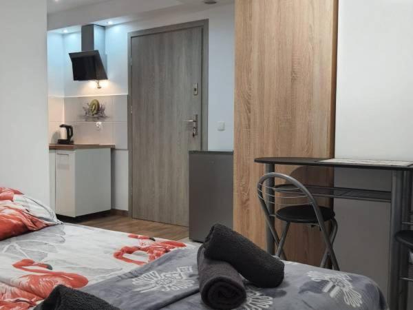 Studia I Apartamenty Wierchy ザコパネ エクステリア 写真