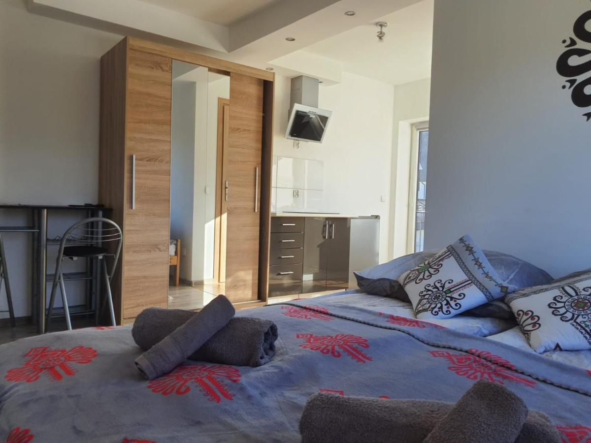 Studia I Apartamenty Wierchy ザコパネ エクステリア 写真