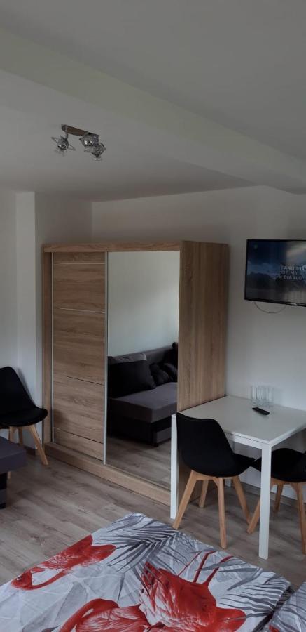 Studia I Apartamenty Wierchy ザコパネ エクステリア 写真