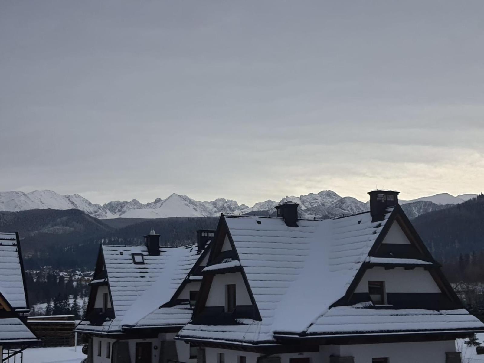 Studia I Apartamenty Wierchy ザコパネ エクステリア 写真