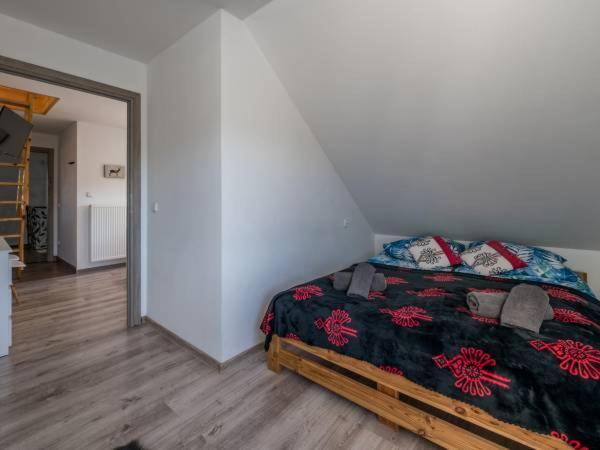 Studia I Apartamenty Wierchy ザコパネ エクステリア 写真