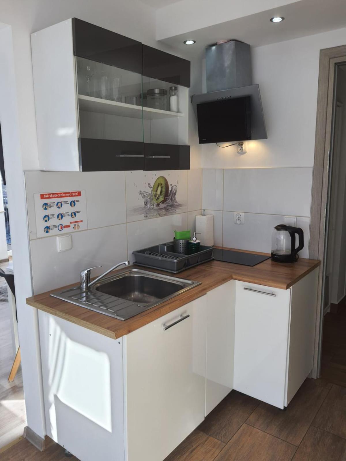 Studia I Apartamenty Wierchy ザコパネ エクステリア 写真