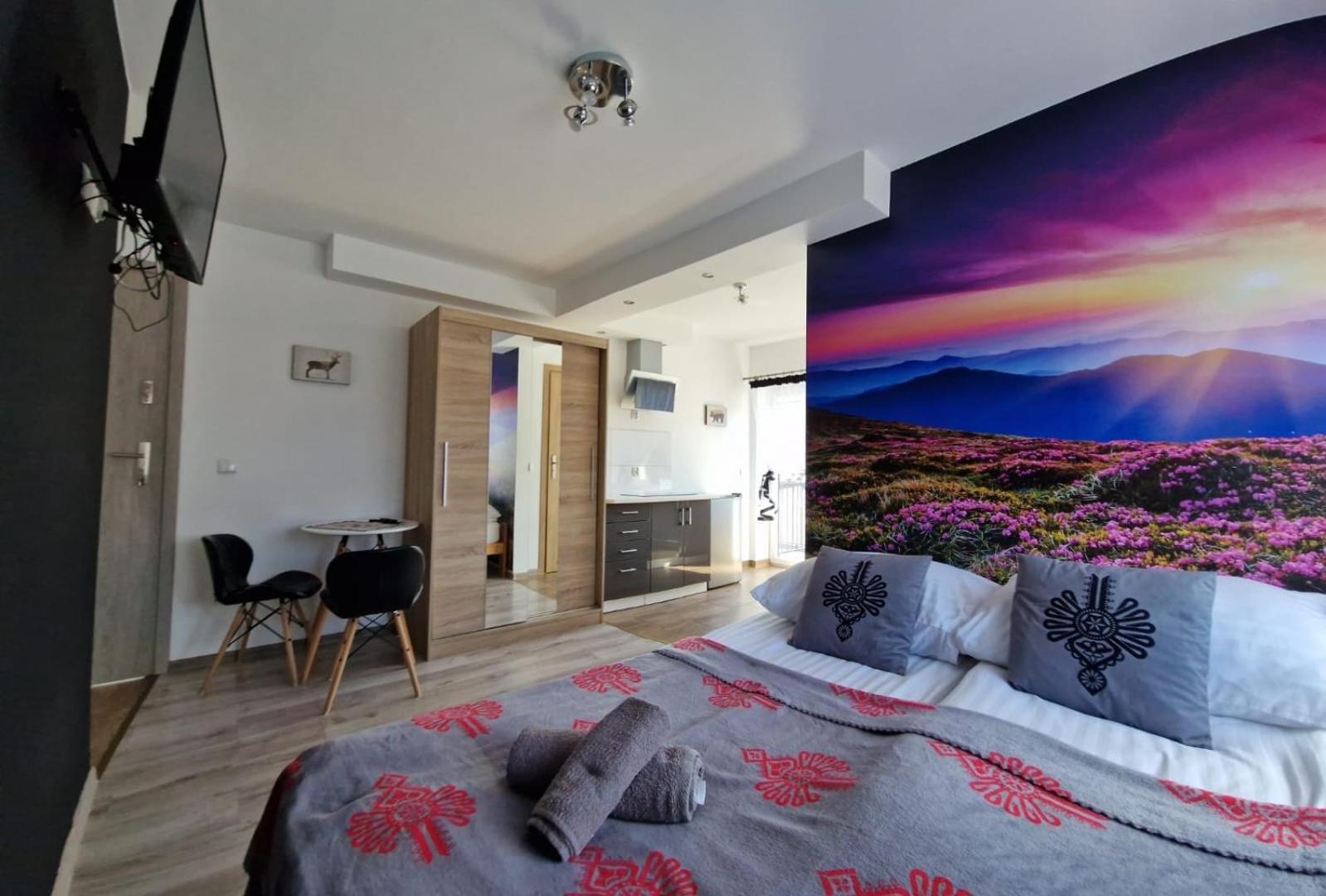 Studia I Apartamenty Wierchy ザコパネ エクステリア 写真