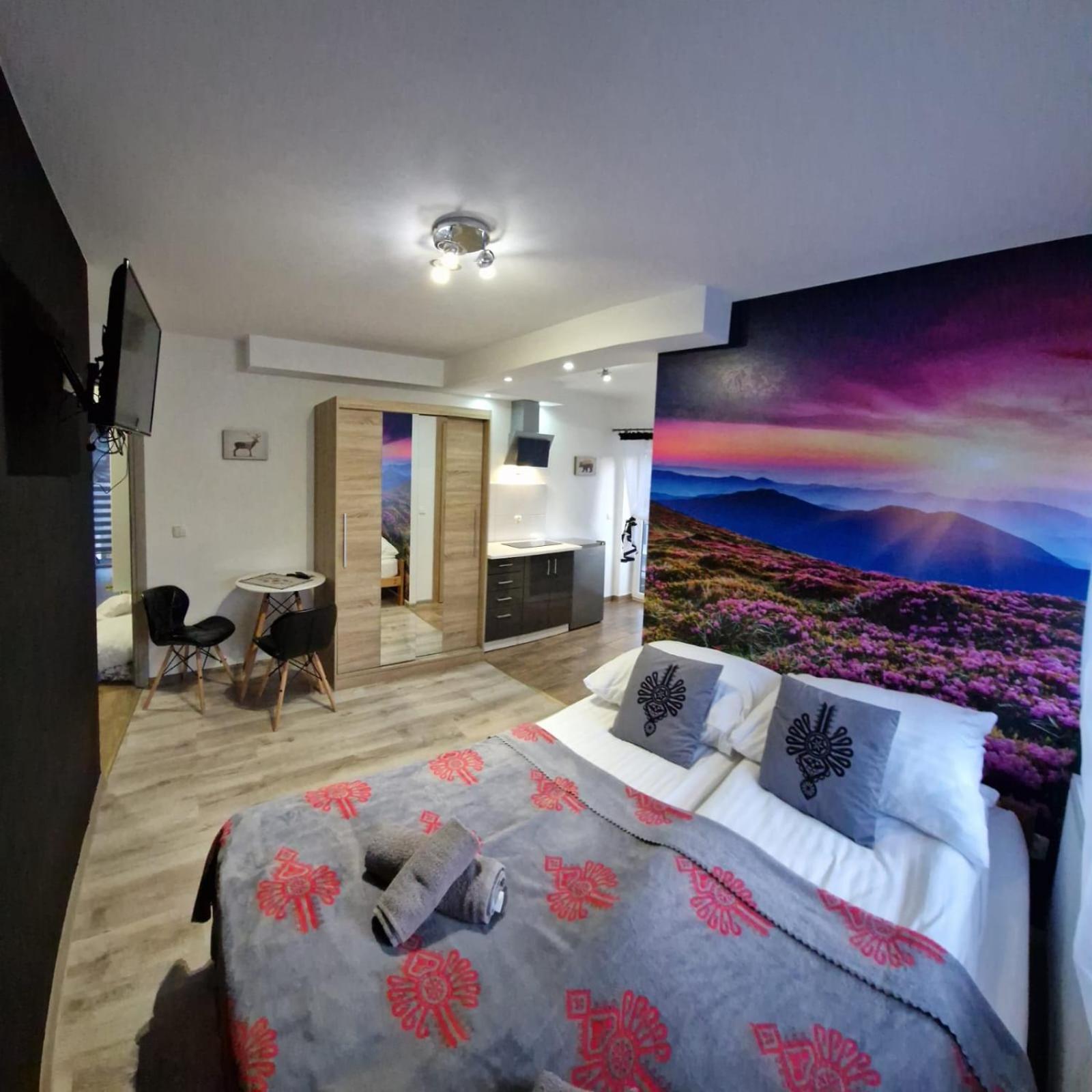 Studia I Apartamenty Wierchy ザコパネ エクステリア 写真