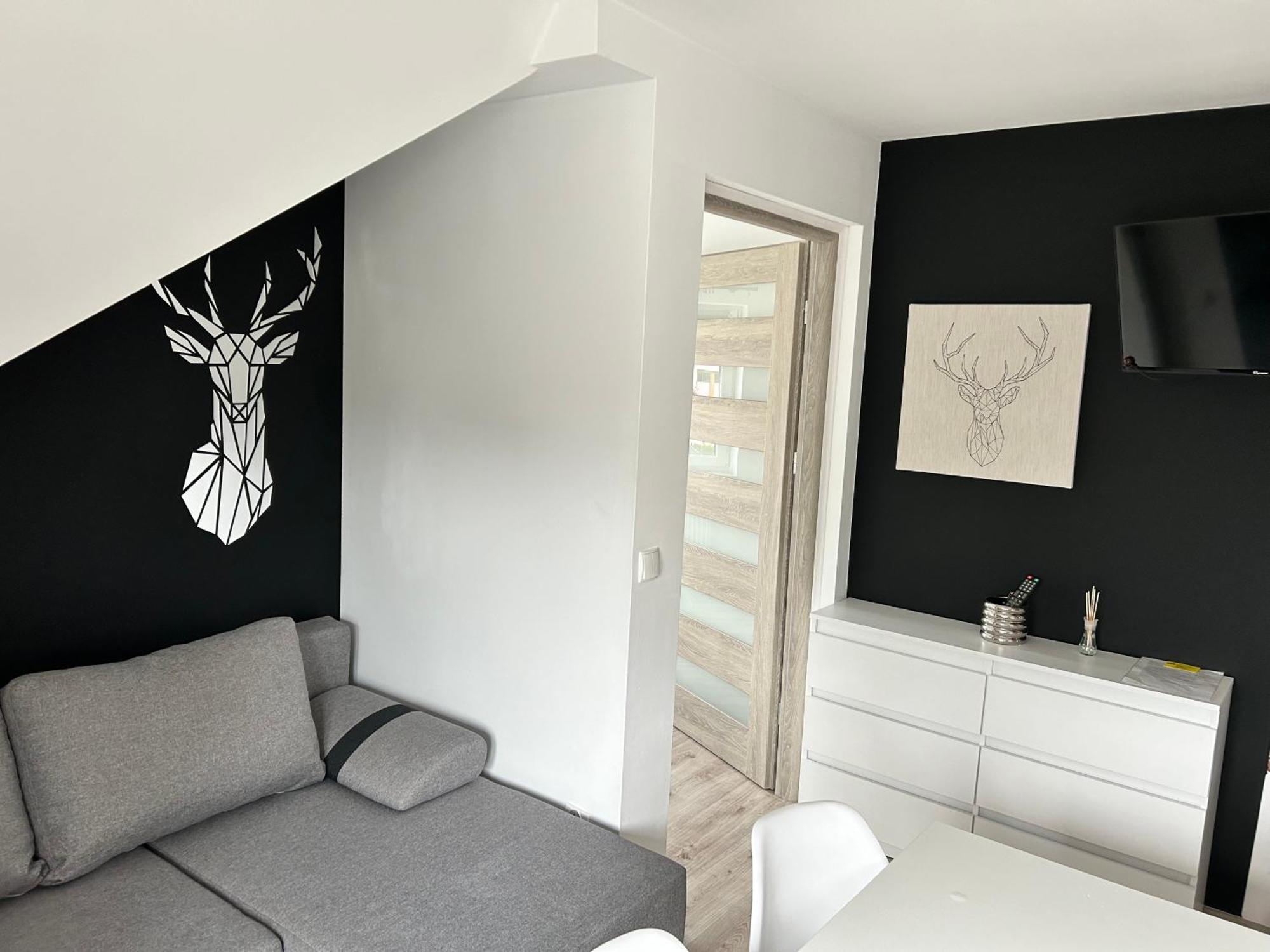 Studia I Apartamenty Wierchy ザコパネ エクステリア 写真