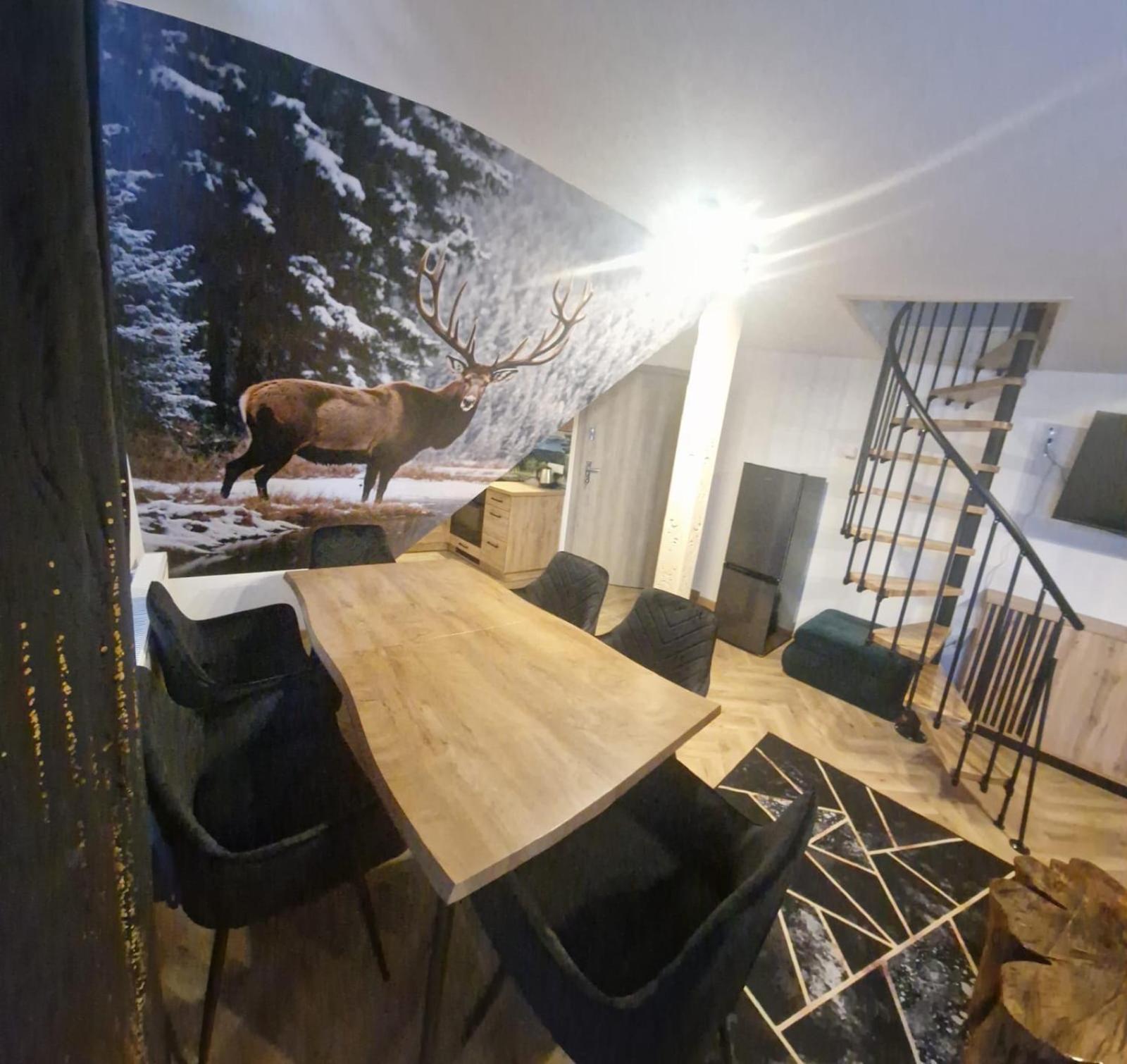 Studia I Apartamenty Wierchy ザコパネ エクステリア 写真