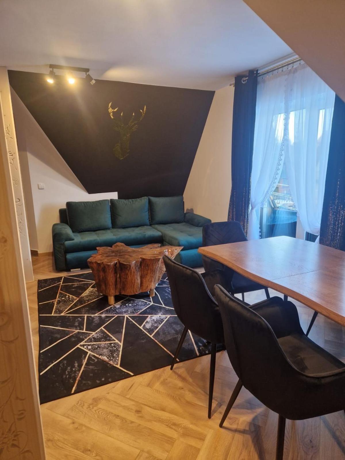 Studia I Apartamenty Wierchy ザコパネ エクステリア 写真