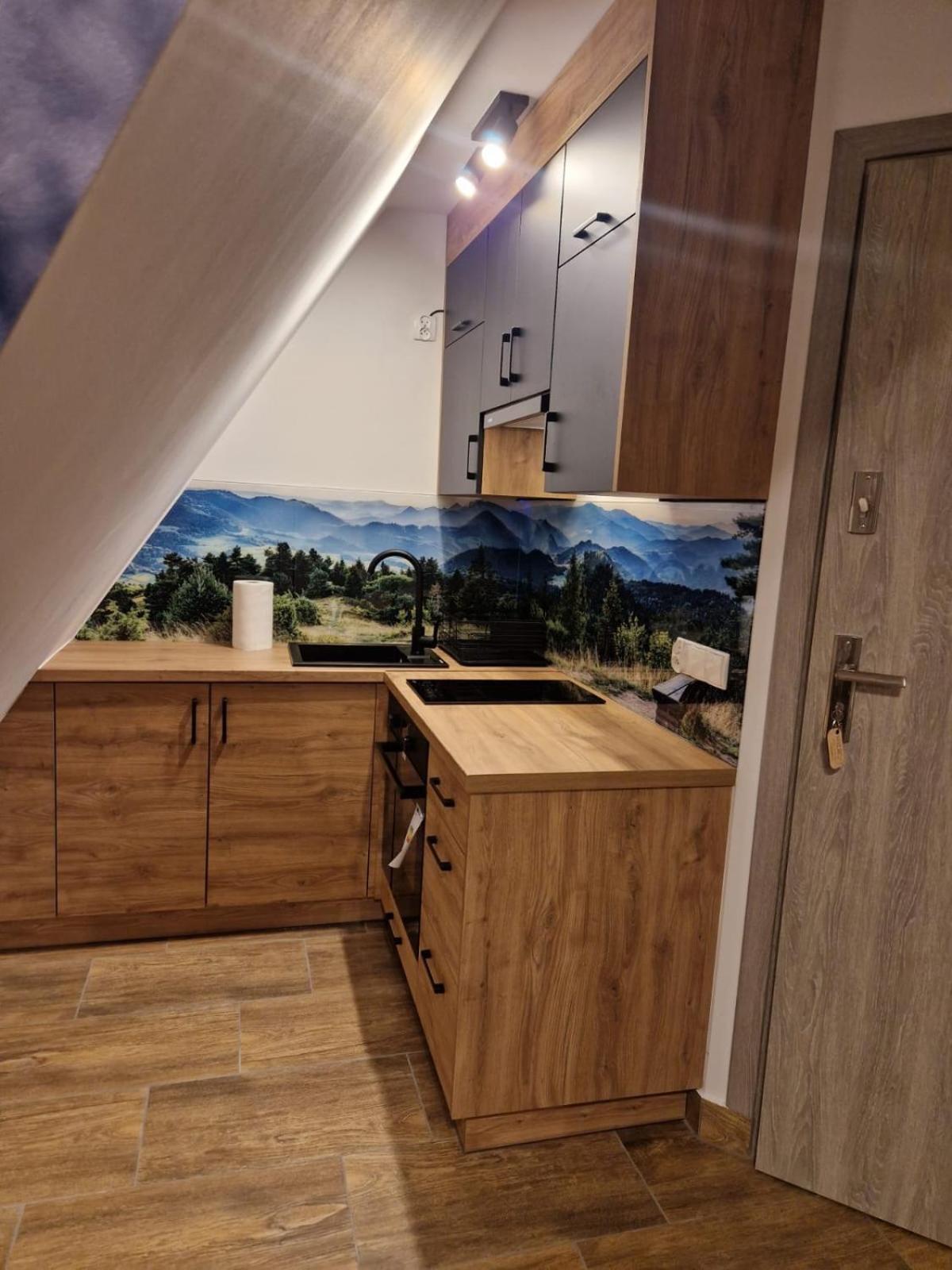 Studia I Apartamenty Wierchy ザコパネ エクステリア 写真